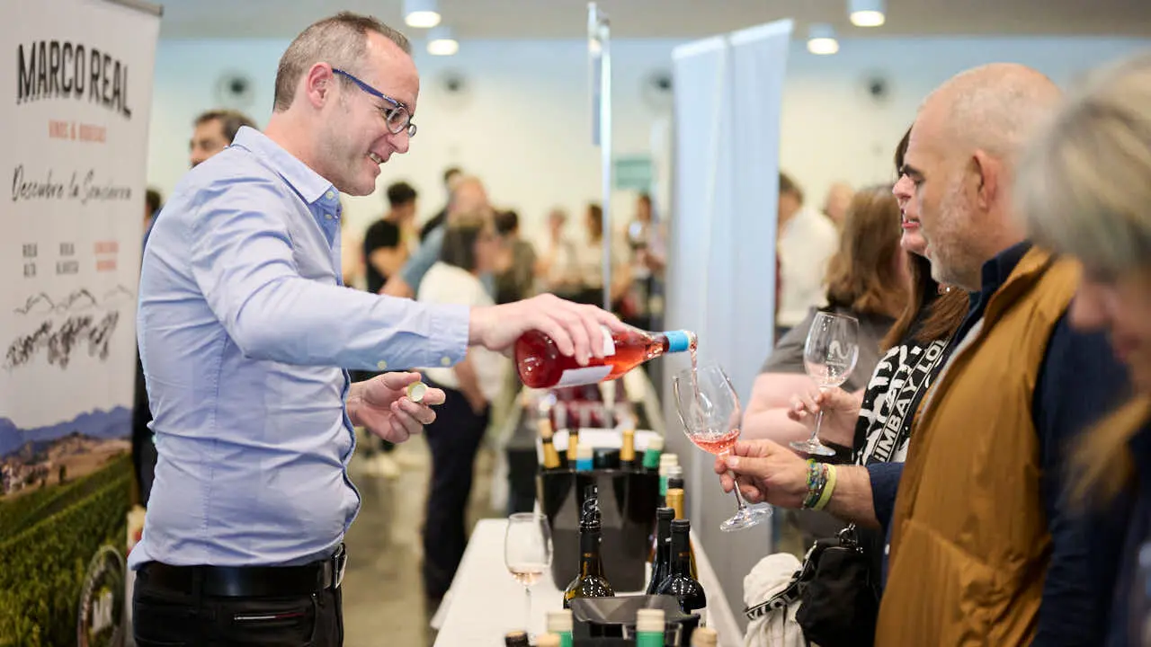Decimotercera edici&oacute;n de Vinofest Navarra, con la presencia de 22 bodegas navarras. PABLO LASAOSA