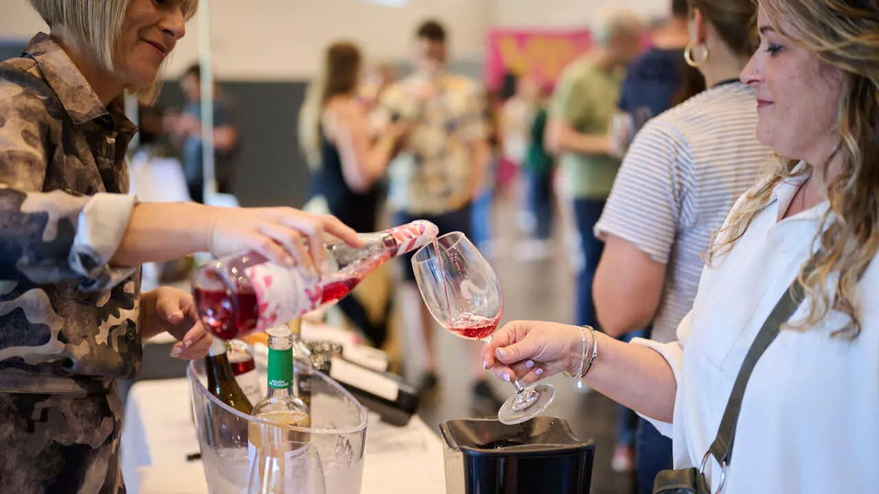Decimotercera edici&oacute;n de Vinofest Navarra, con la presencia de 22 bodegas navarras. PABLO LASAOSA