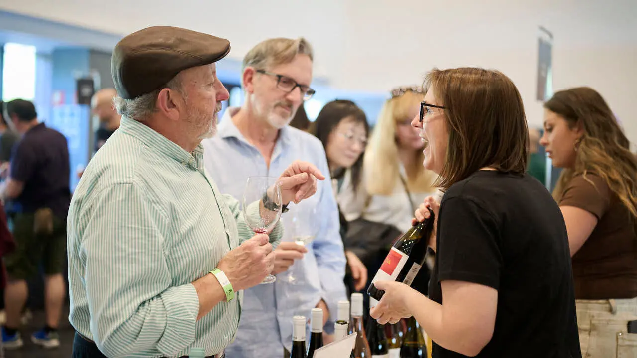 Decimotercera edici&oacute;n de Vinofest Navarra, con la presencia de 22 bodegas navarras. PABLO LASAOSA