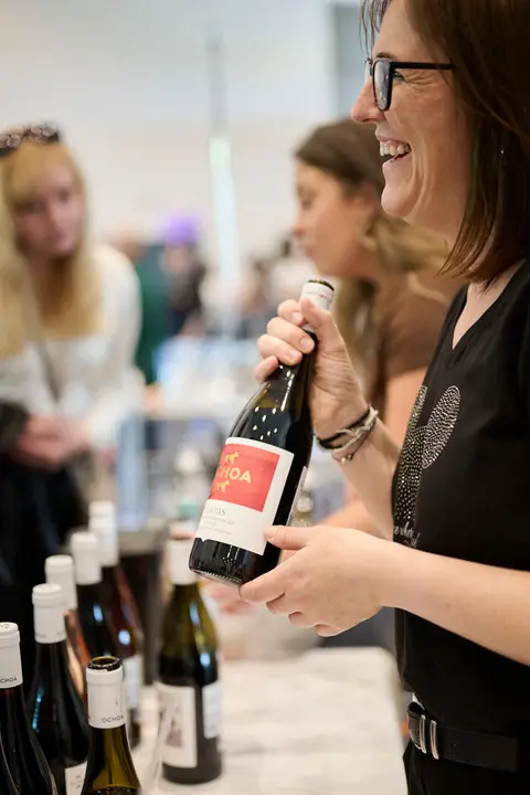 Decimotercera edici&oacute;n de Vinofest Navarra, con la presencia de 22 bodegas navarras. PABLO LASAOSA