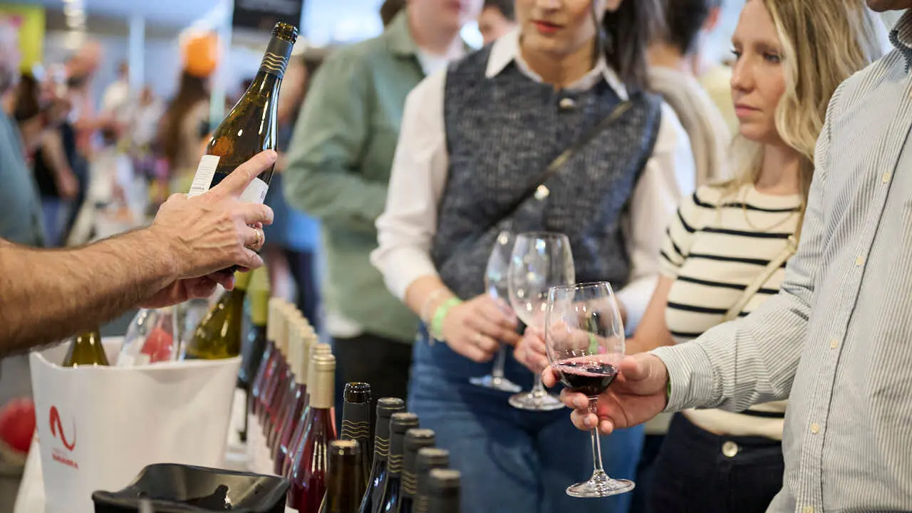 Decimotercera edici&oacute;n de Vinofest Navarra, con la presencia de 22 bodegas navarras. PABLO LASAOSA