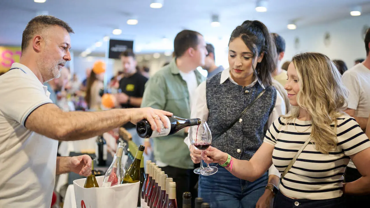 Decimotercera edici&oacute;n de Vinofest Navarra, con la presencia de 22 bodegas navarras. PABLO LASAOSA