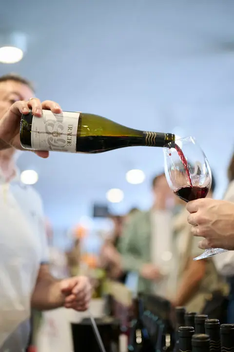 Decimotercera edici&oacute;n de Vinofest Navarra, con la presencia de 22 bodegas navarras. PABLO LASAOSA