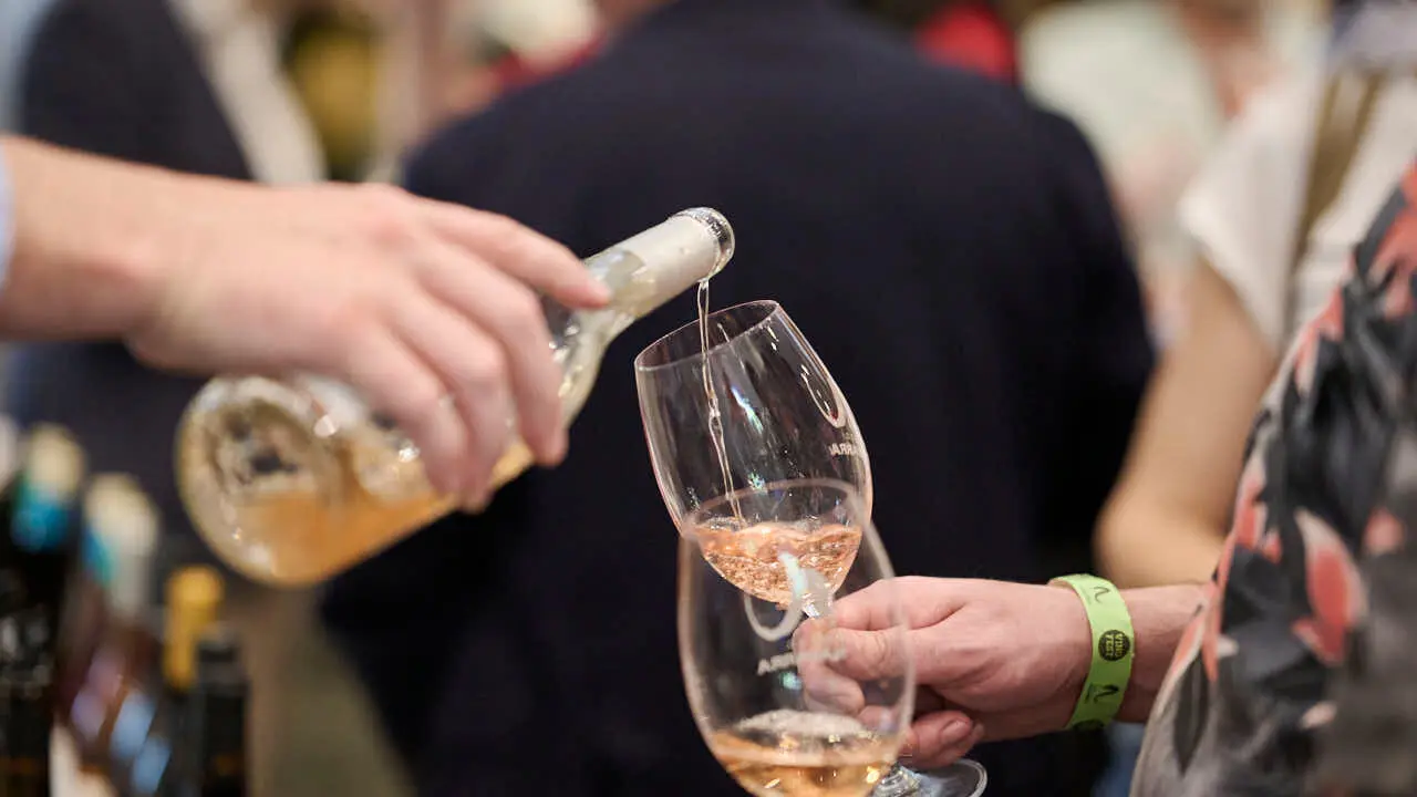 Decimotercera edici&oacute;n de Vinofest Navarra, con la presencia de 22 bodegas navarras. PABLO LASAOSA