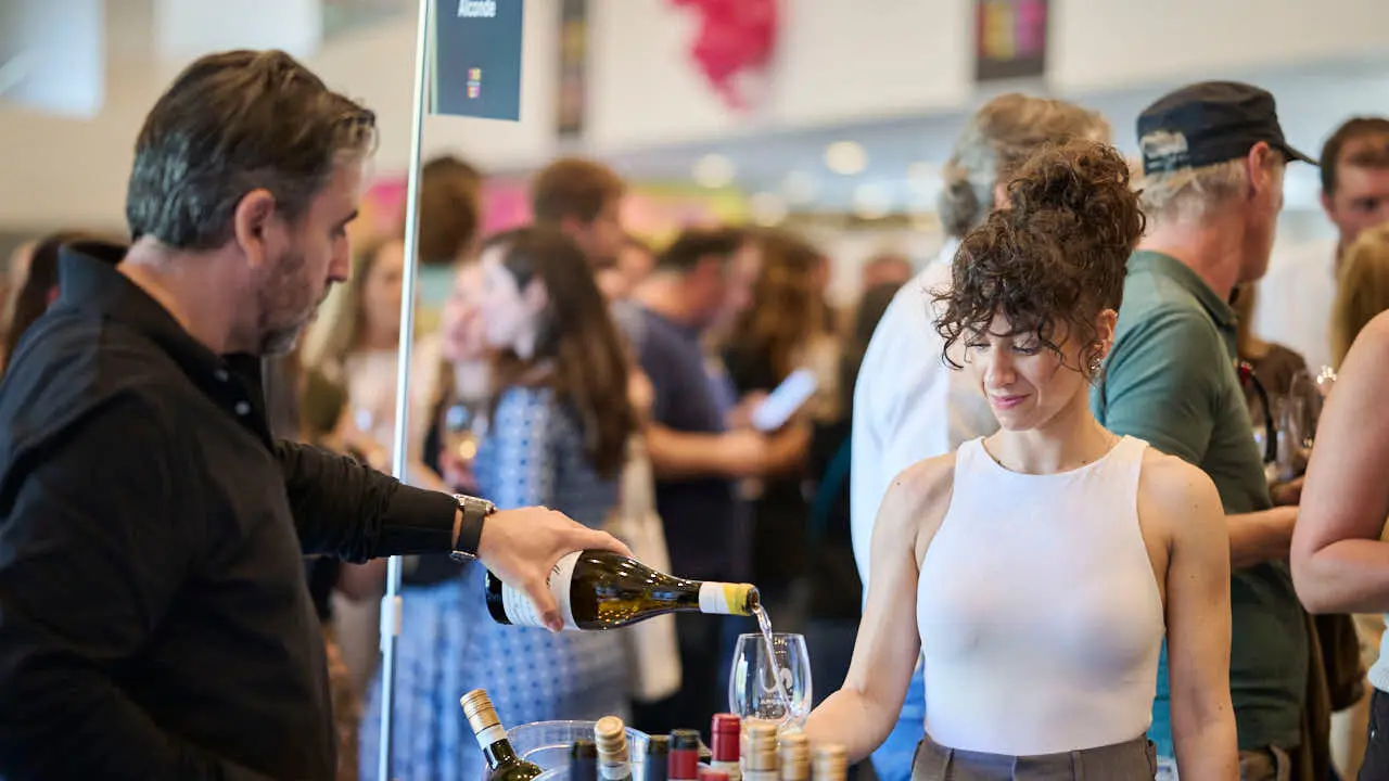 Decimotercera edici&oacute;n de Vinofest Navarra, con la presencia de 22 bodegas navarras. PABLO LASAOSA