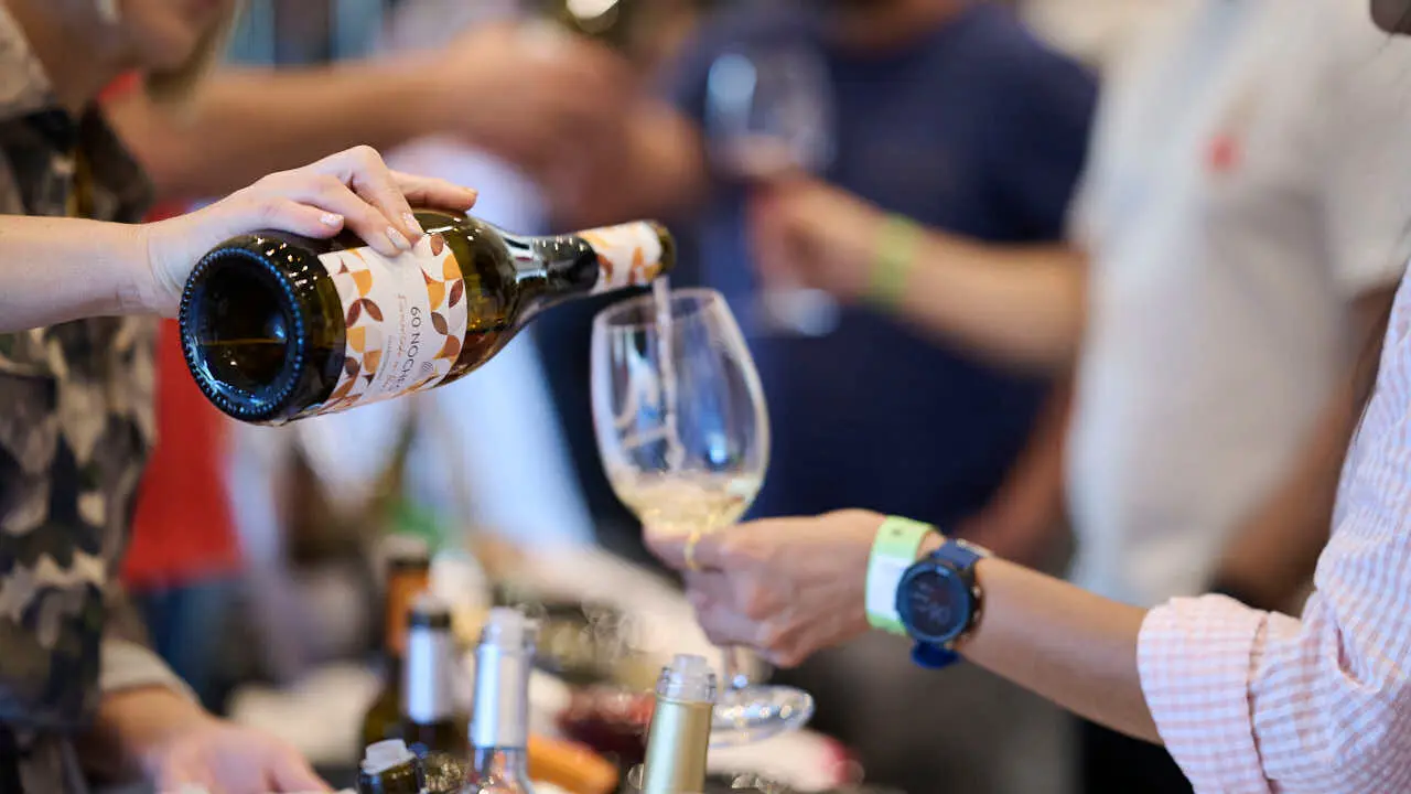 Decimotercera edici&oacute;n de Vinofest Navarra, con la presencia de 22 bodegas navarras. PABLO LASAOSA