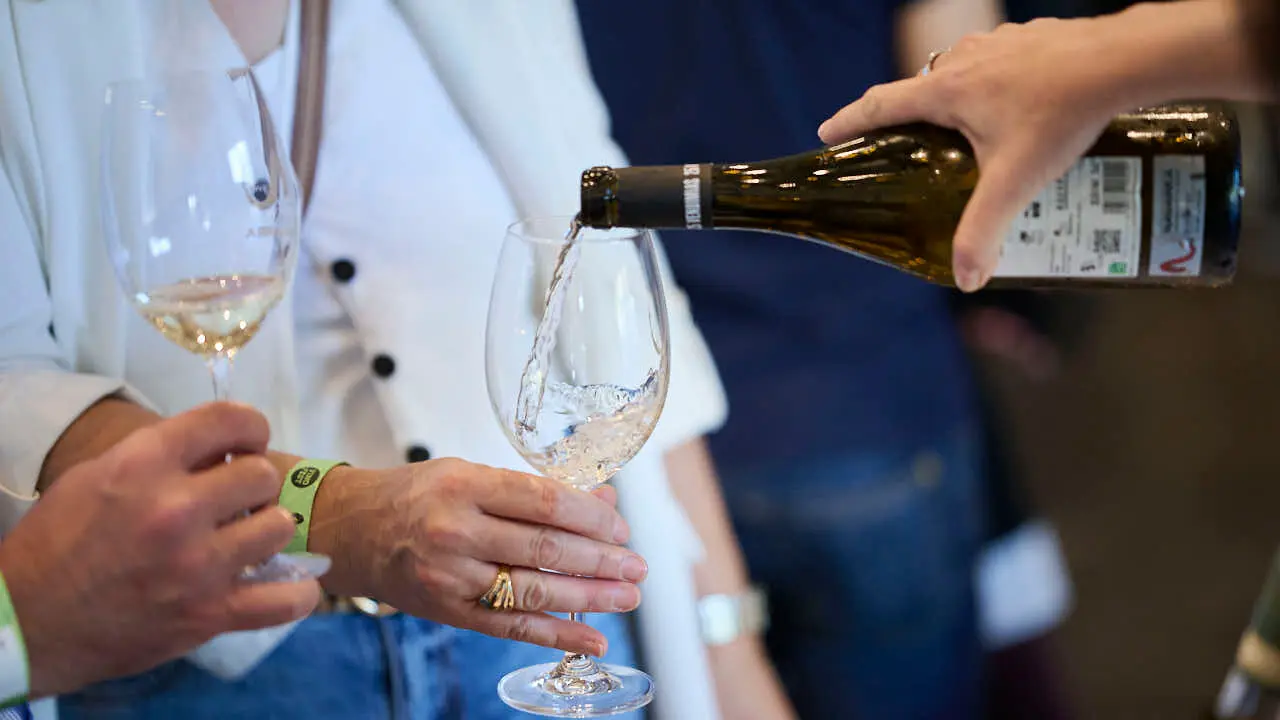 Decimotercera edici&oacute;n de Vinofest Navarra, con la presencia de 22 bodegas navarras. PABLO LASAOSA