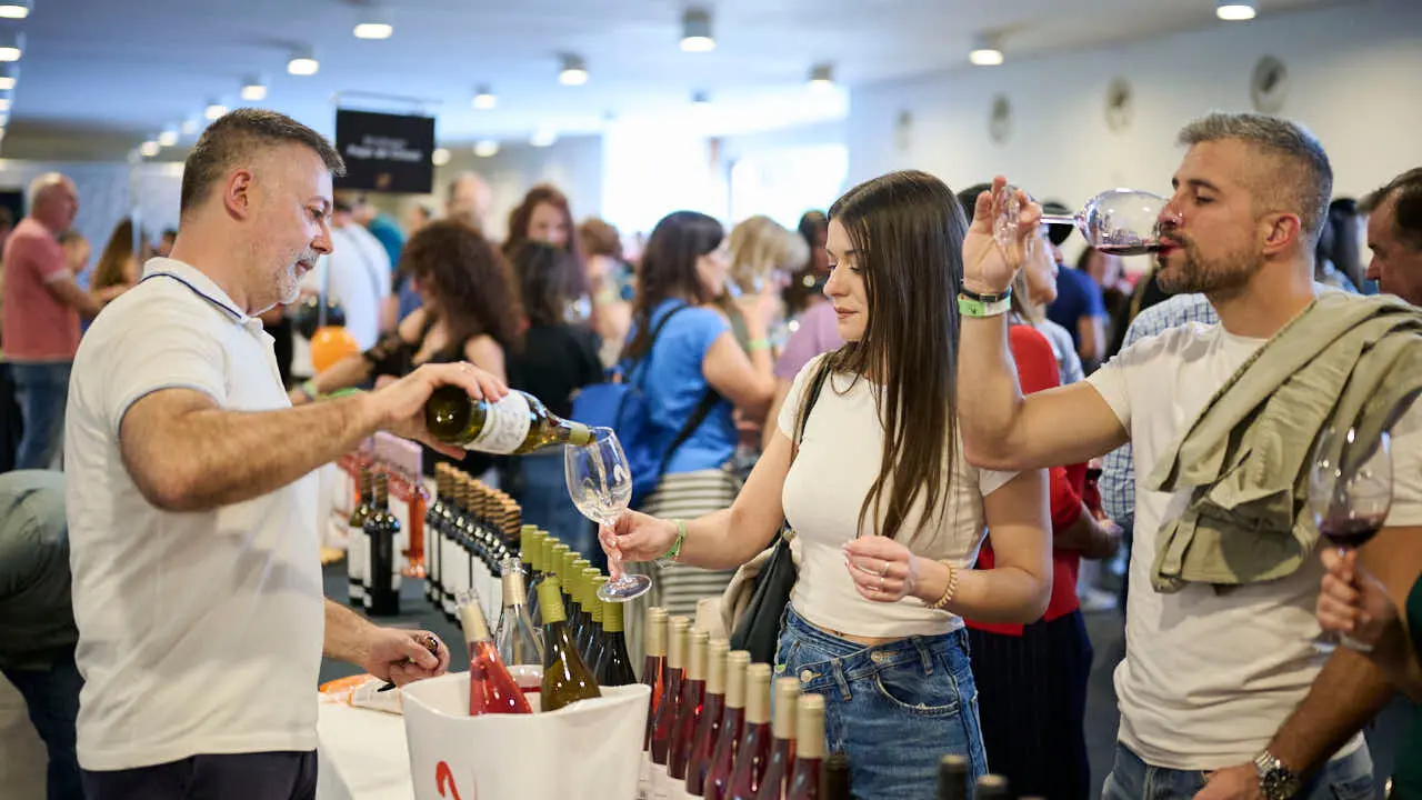 Decimotercera edici&oacute;n de Vinofest Navarra, con la presencia de 22 bodegas navarras. PABLO LASAOSA