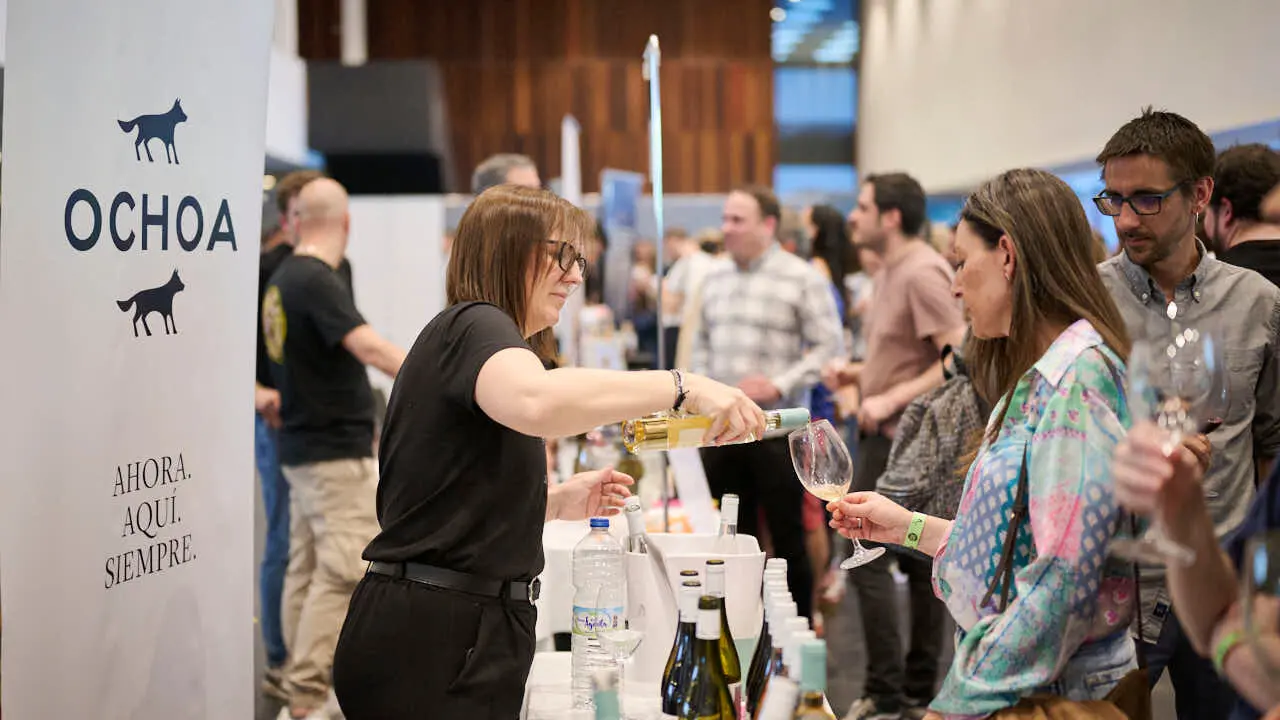 Decimotercera edici&oacute;n de Vinofest Navarra, con la presencia de 22 bodegas navarras. PABLO LASAOSA