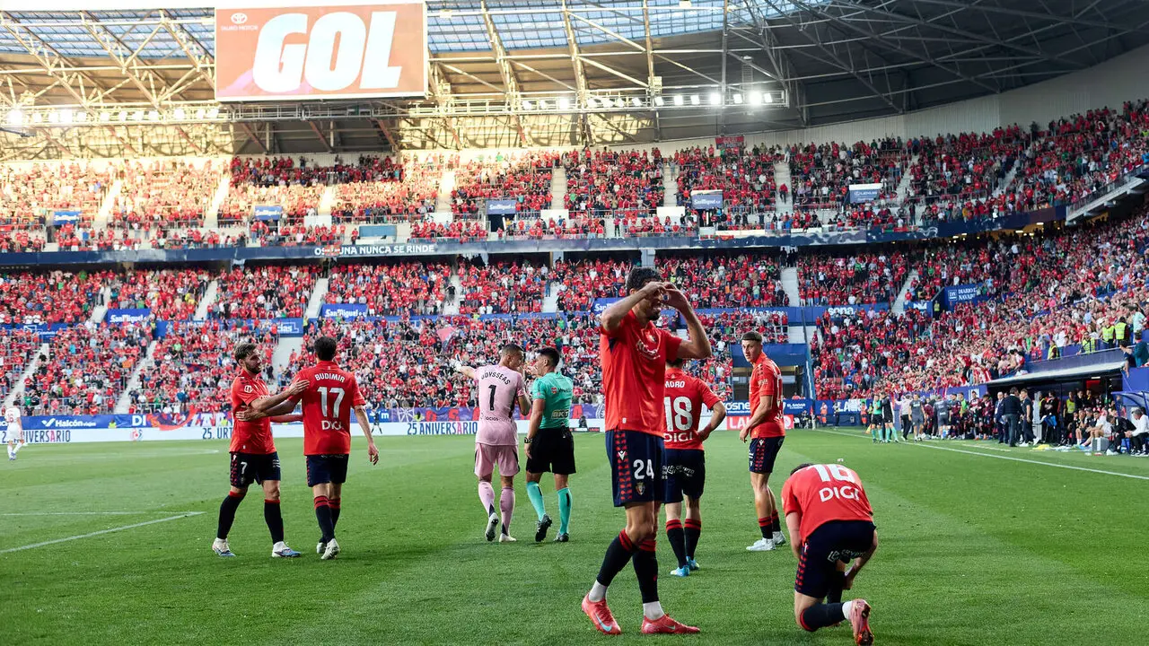 Los jugadores de Osasuna celebran el gol de Alejandro Catena (2-1) durante el partido de La Liga EA Sports entre CA Osasuna y Sevilla FC disputado en el estadio de El Sadar en Pamplona. I&Ntilde;IGO ALZUGARAY