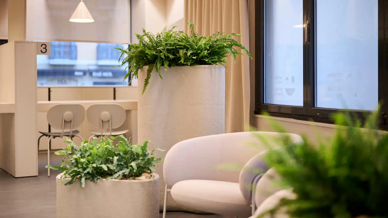 La Comisi&oacute;n de Presidencia del Ayuntamiento de Pamplona visita la Oficina de Turismo de la calle San Saturnino, donde desde principios de a&ntilde;o se est&aacute;n llevando a cabo unas obras de reforma de su espacio interior. PABLO LASAOSA