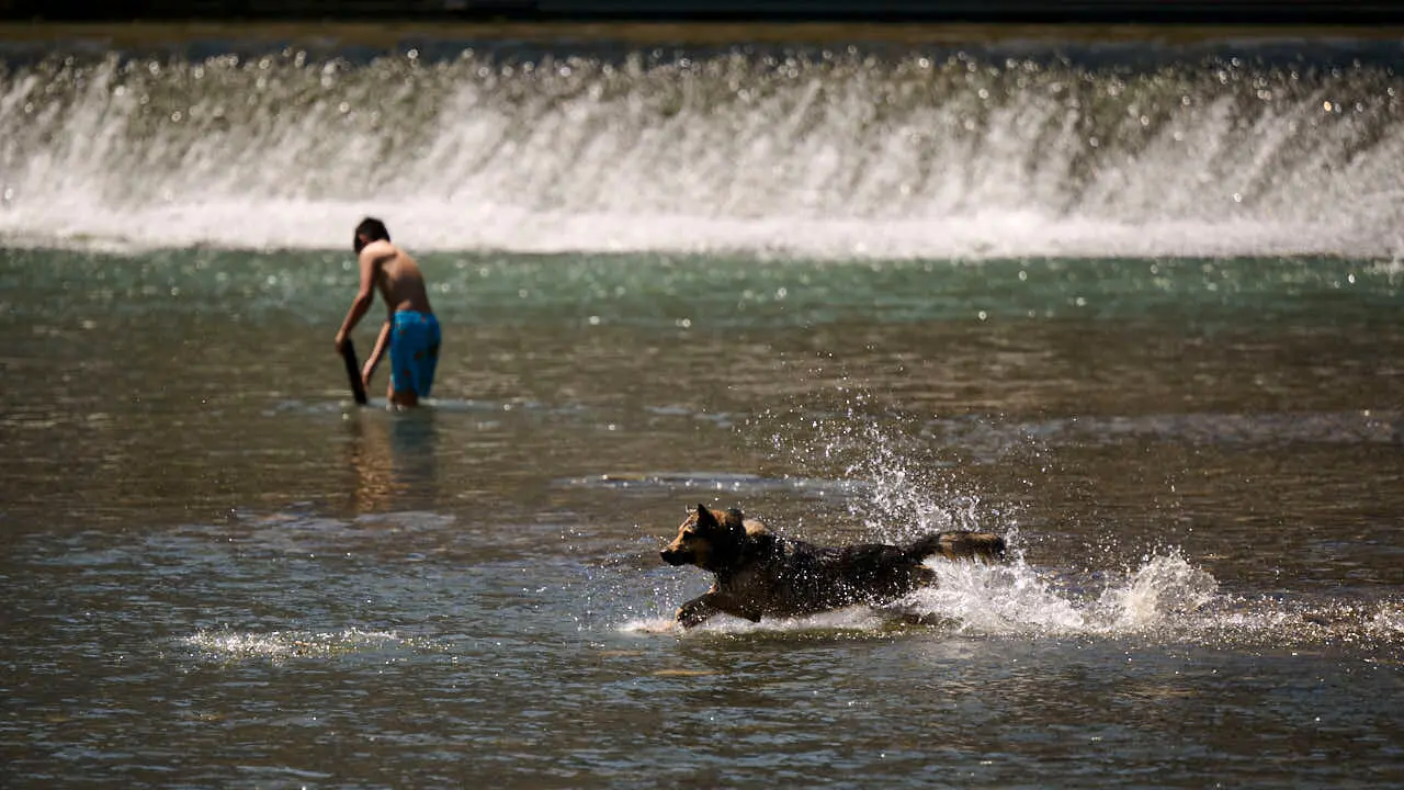 Decenas de personas aprovechan las altas temperaturas para refrescarse y disfrutar del r&iacute;o Arga a su paso por Pamplona. PABLO LASAOSA