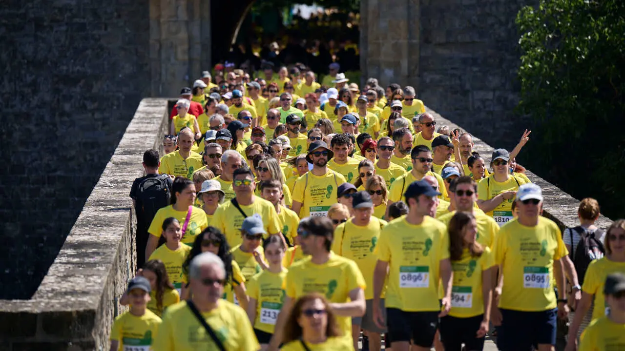 XII Marcha Contra el C&aacute;ncer en Pamplona. PABLO LASAOSA