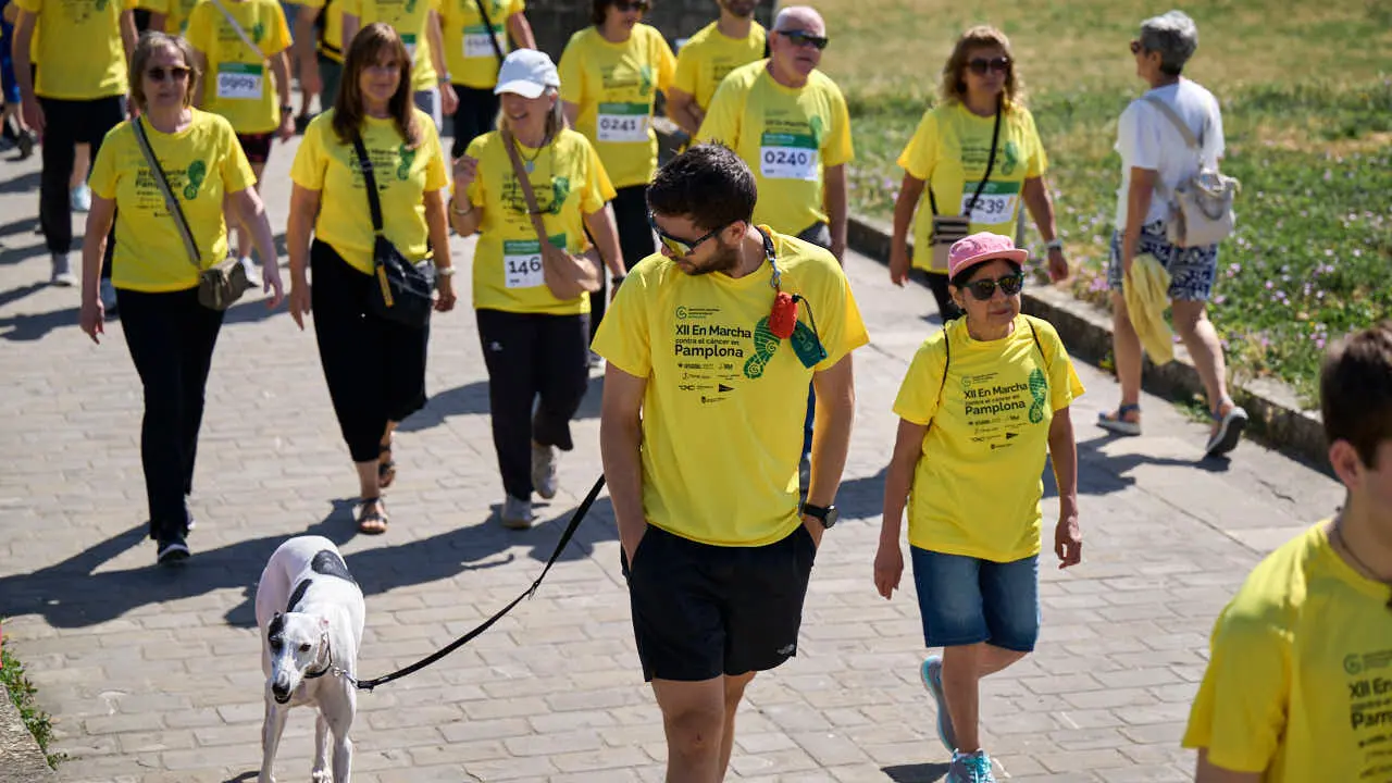 XII Marcha Contra el C&aacute;ncer en Pamplona. PABLO LASAOSA
