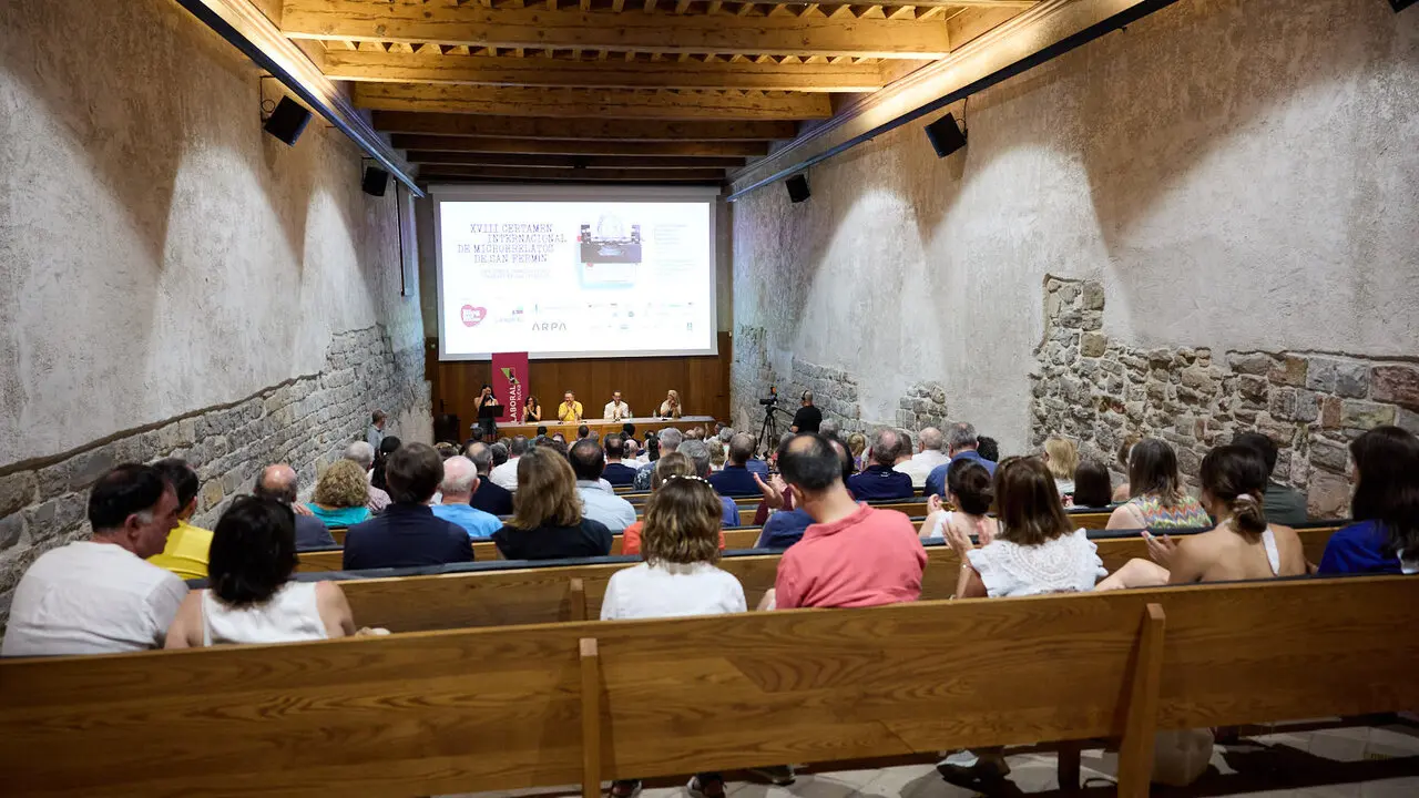 XVIII Certamen de Microrrelatos de San Ferm&iacute;n. I&Ntilde;IGO ALZUGARAY