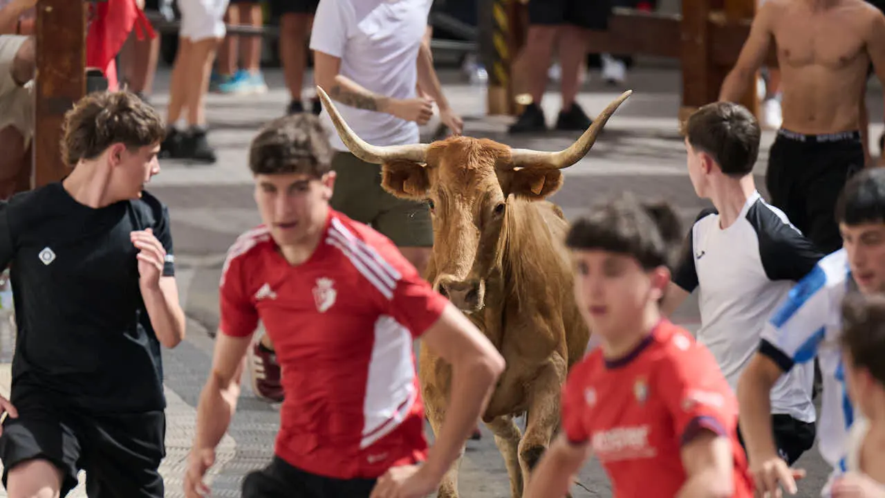 Suelta de vacas por las calles en fiestas de Mutilva 2026. PABLO LASAOSA
