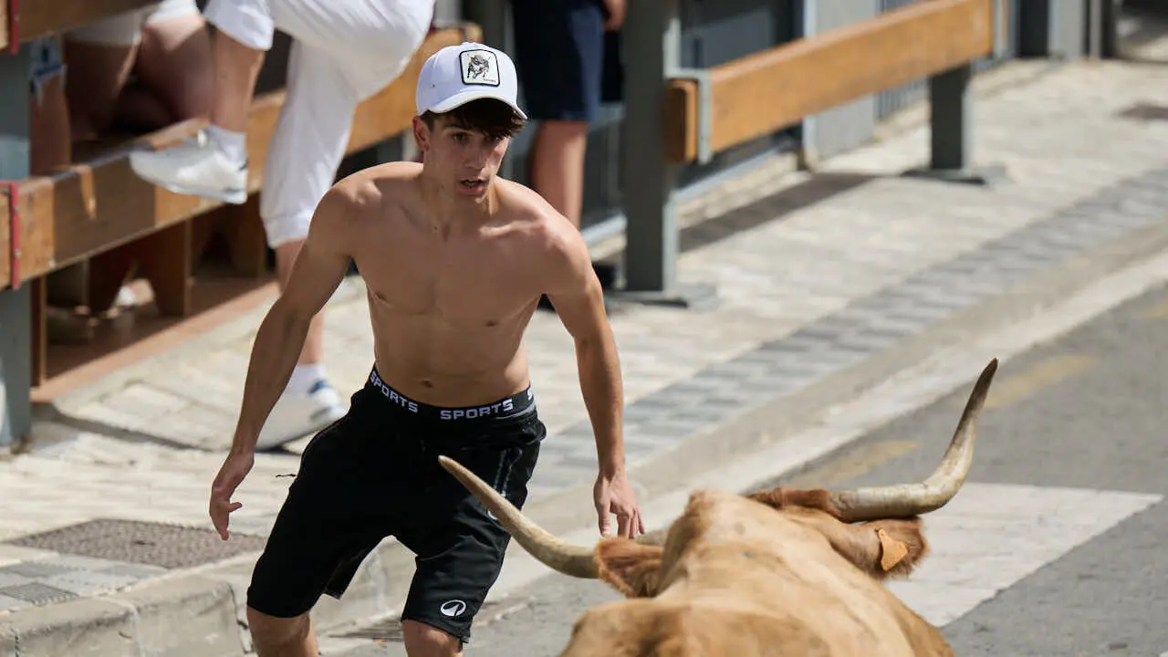 Suelta de vacas por las calles en fiestas de Mutilva 2026. PABLO LASAOSA