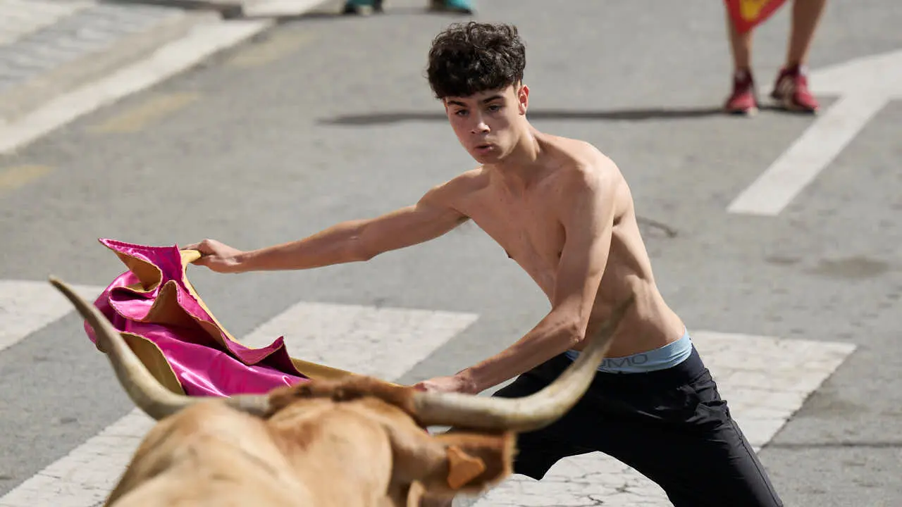 Suelta de vacas por las calles en fiestas de Mutilva 2026. PABLO LASAOSA