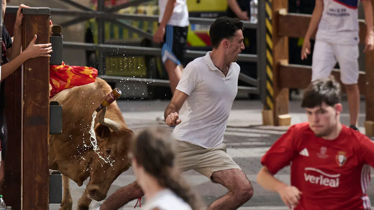 Suelta de vacas por las calles en fiestas de Mutilva 2026. PABLO LASAOSA