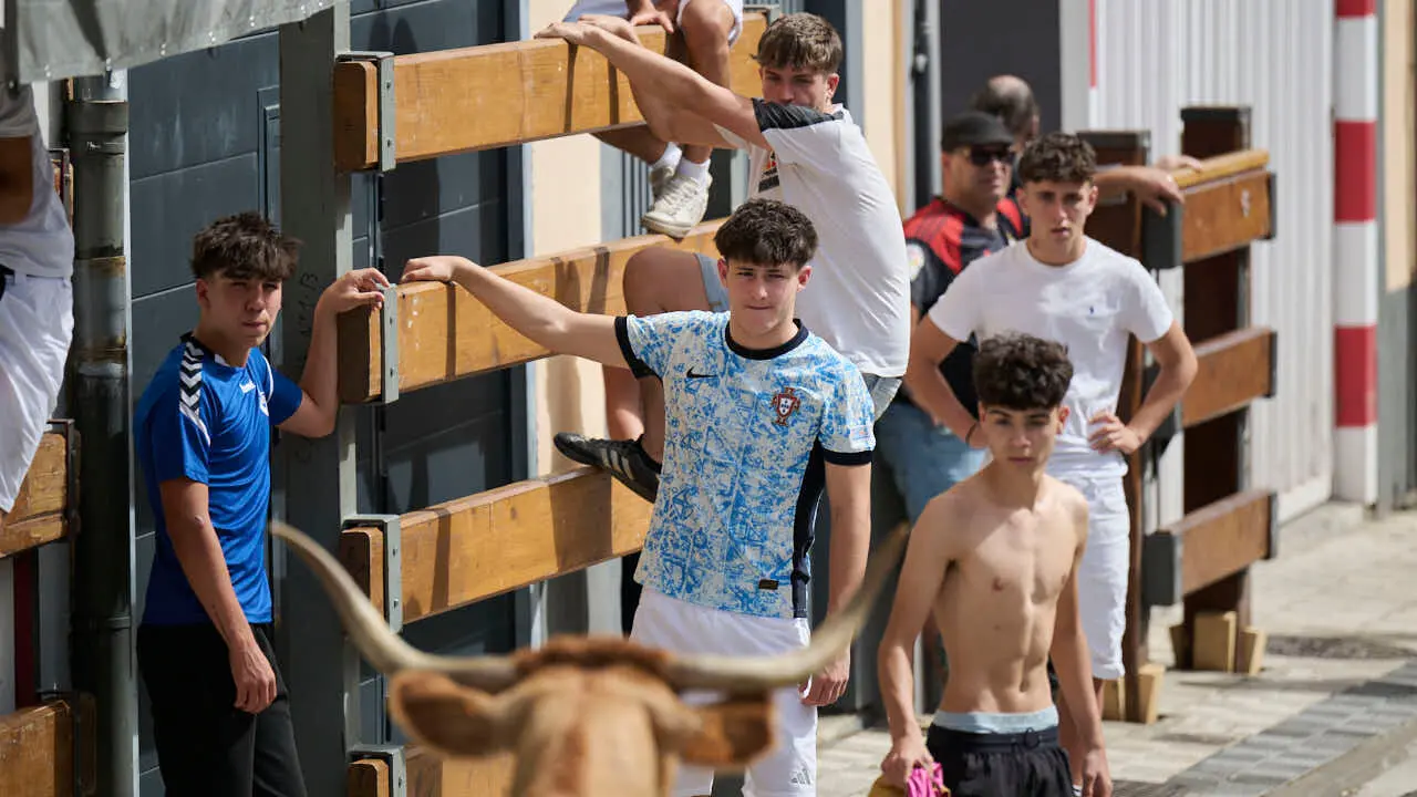 Suelta de vacas por las calles en fiestas de Mutilva 2026. PABLO LASAOSA