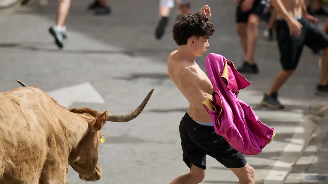 Suelta de vacas por las calles en fiestas de Mutilva 2026. PABLO LASAOSA