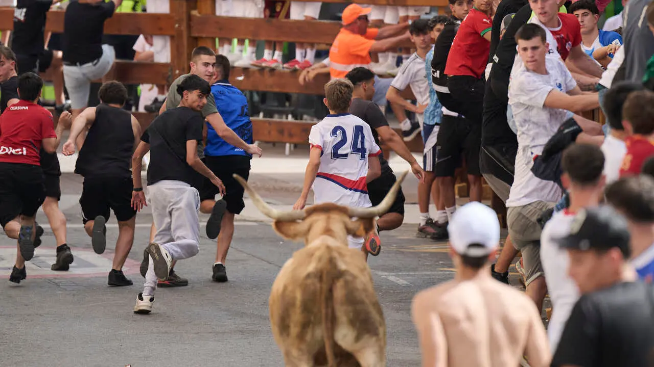 Suelta de vacas por las calles en fiestas de Mutilva 2026. PABLO LASAOSA