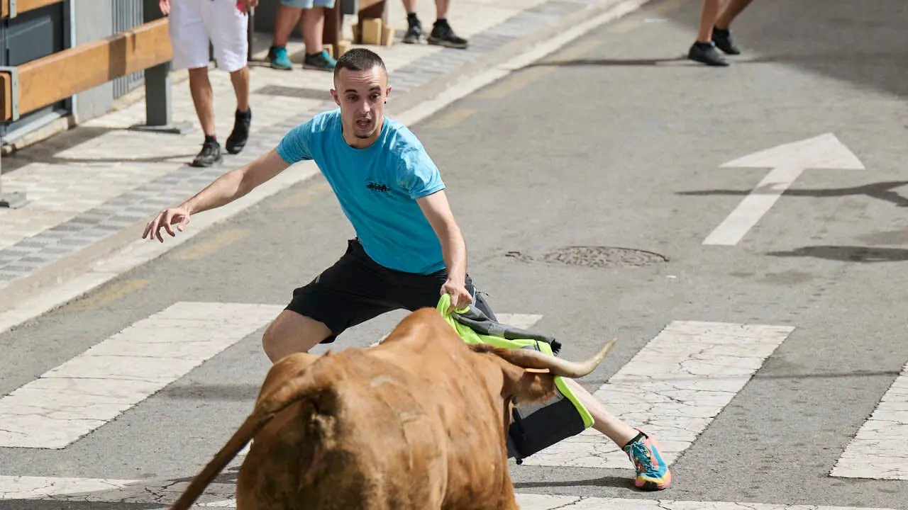 Suelta de vacas por las calles en fiestas de Mutilva 2026. PABLO LASAOSA