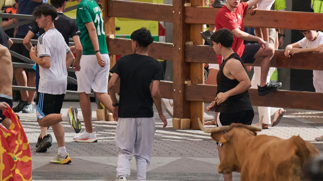 Suelta de vacas por las calles en fiestas de Mutilva 2026. PABLO LASAOSA