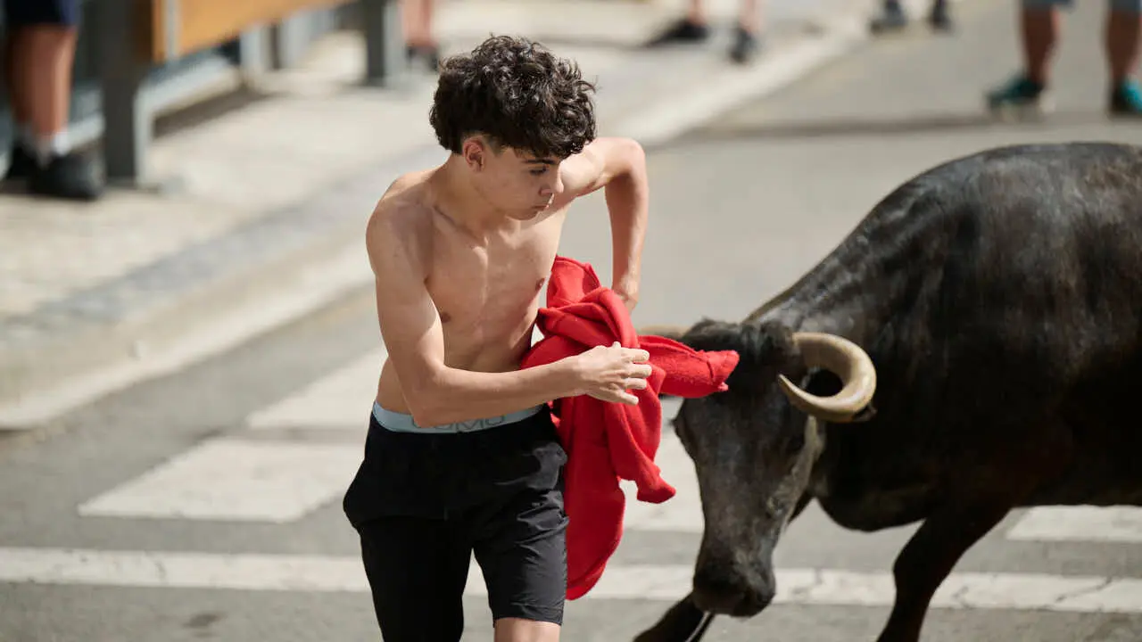 Suelta de vacas por las calles en fiestas de Mutilva 2026. PABLO LASAOSA