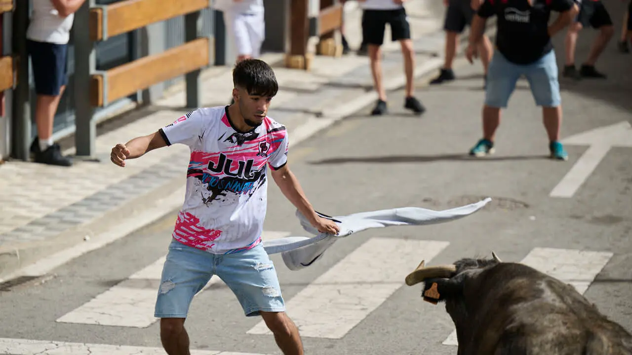 Suelta de vacas por las calles en fiestas de Mutilva 2026. PABLO LASAOSA
