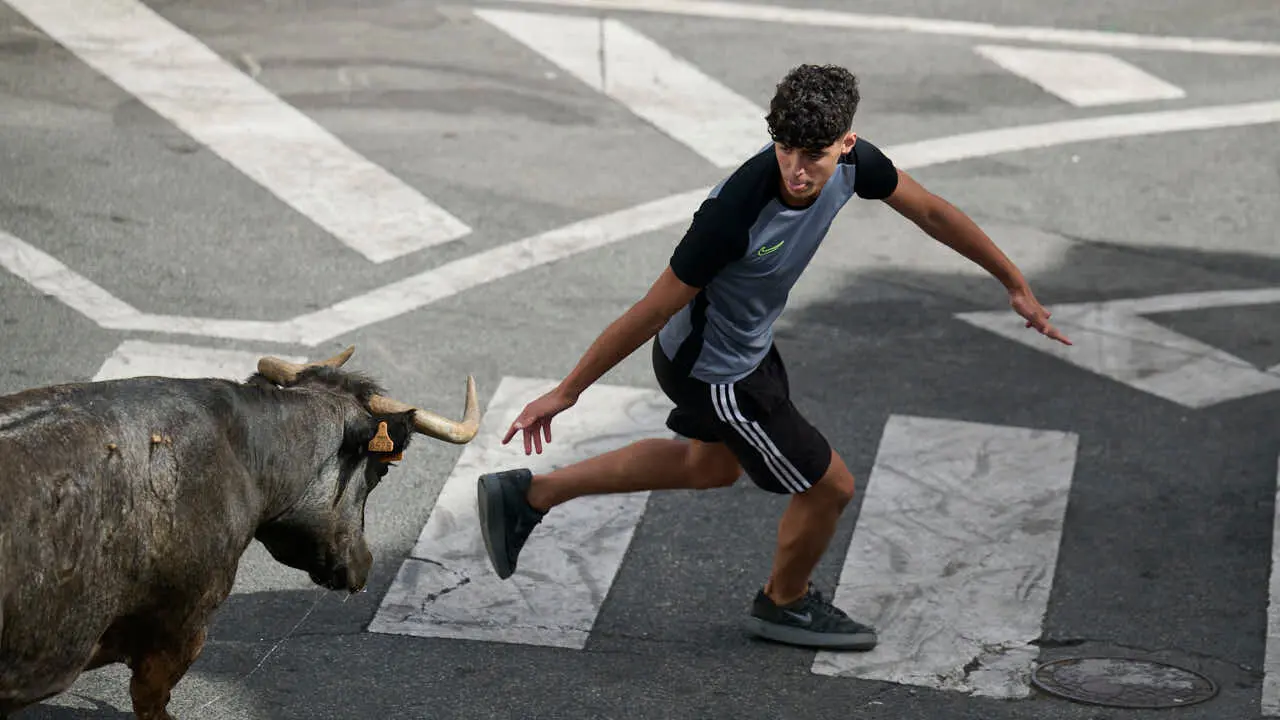 Suelta de vacas por las calles en fiestas de Mutilva 2026. PABLO LASAOSA