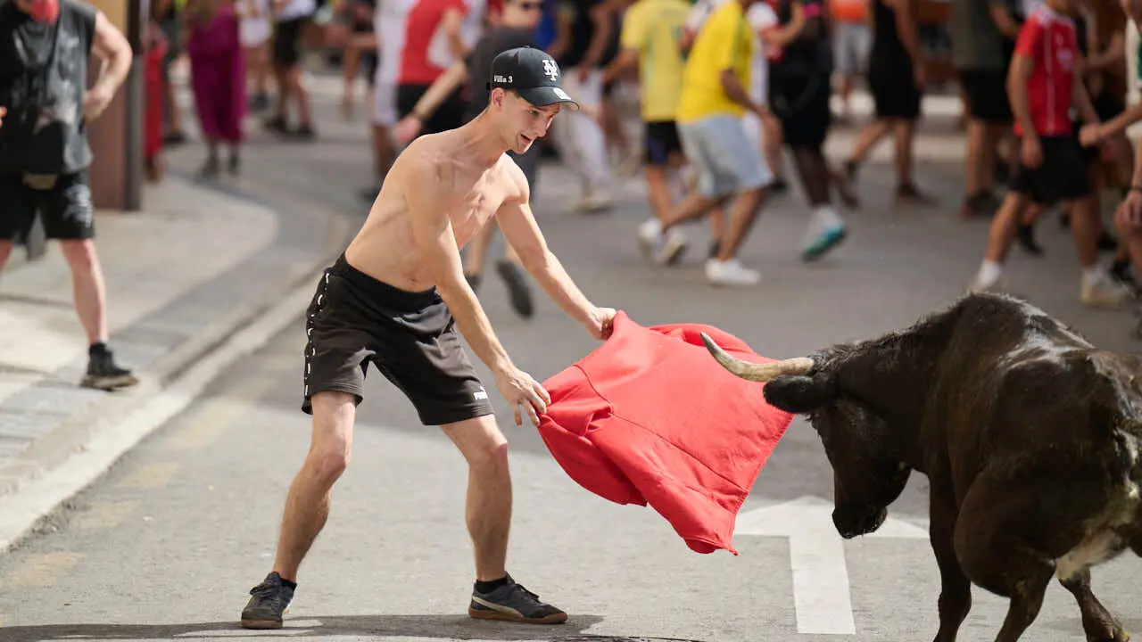 Suelta de vacas por las calles en fiestas de Mutilva 2026. PABLO LASAOSA
