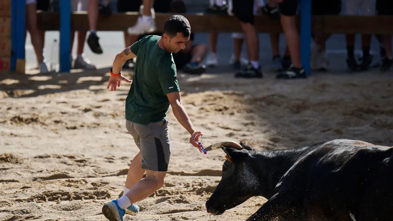 Tarde de vaquillas en fiestas de Bara&ntilde;ain 2026 con la ganader&iacute;a Bretos, amenizadas por Gaiteros de Bara&ntilde;&aacute;in. PABLO LASAOSA