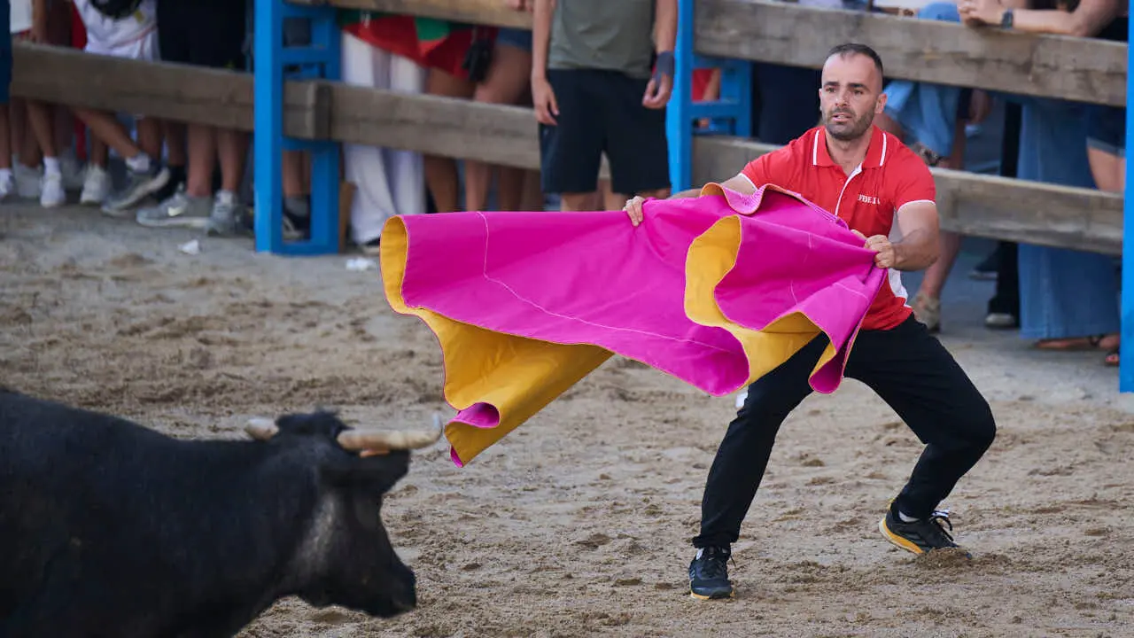 Tarde de vaquillas en fiestas de Bara&ntilde;ain 2026 con la ganader&iacute;a Bretos, amenizadas por Gaiteros de Bara&ntilde;&aacute;in. PABLO LASAOSA