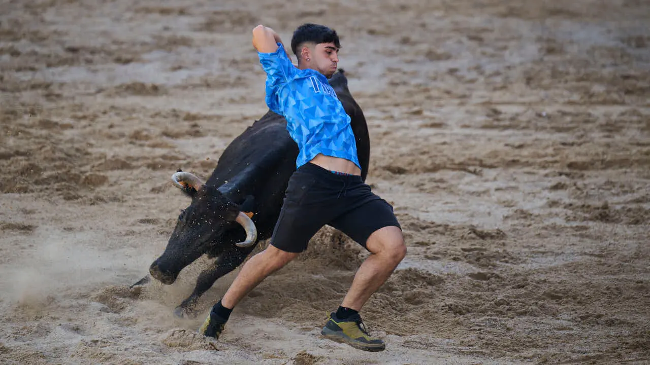 Tarde de vaquillas en fiestas de Bara&ntilde;ain 2026 con la ganader&iacute;a Bretos, amenizadas por Gaiteros de Bara&ntilde;&aacute;in. PABLO LASAOSA