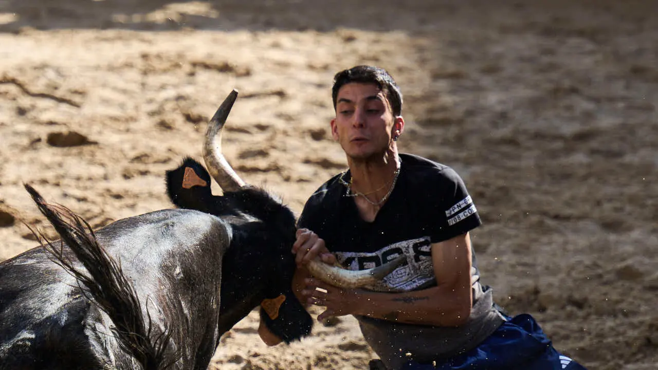Tarde de vaquillas en fiestas de Bara&ntilde;ain 2026 con la ganader&iacute;a Bretos, amenizadas por Gaiteros de Bara&ntilde;&aacute;in. PABLO LASAOSA