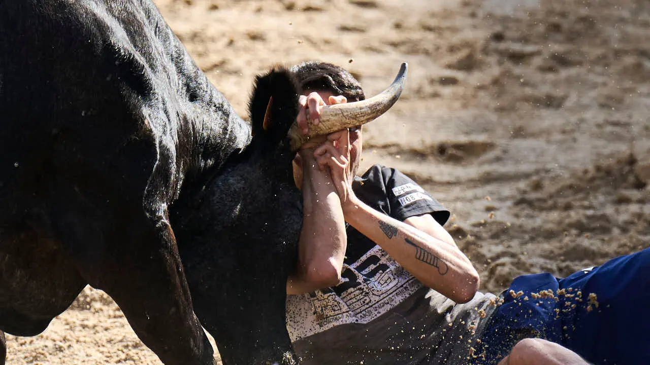 Tarde de vaquillas en fiestas de Bara&ntilde;ain 2026 con la ganader&iacute;a Bretos, amenizadas por Gaiteros de Bara&ntilde;&aacute;in. PABLO LASAOSA