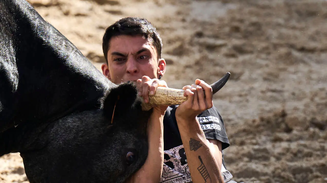Tarde de vaquillas en fiestas de Bara&ntilde;ain 2026 con la ganader&iacute;a Bretos, amenizadas por Gaiteros de Bara&ntilde;&aacute;in. PABLO LASAOSA