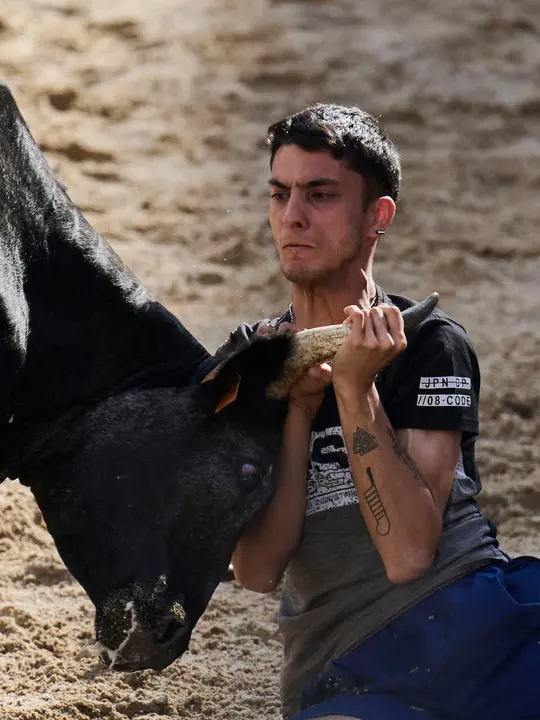 Tarde de vaquillas en fiestas de Bara&ntilde;ain 2026 con la ganader&iacute;a Bretos, amenizadas por Gaiteros de Bara&ntilde;&aacute;in. PABLO LASAOSA