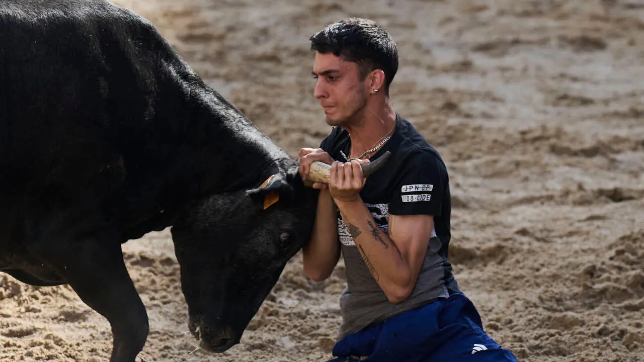 Tarde de vaquillas en fiestas de Bara&ntilde;ain 2026 con la ganader&iacute;a Bretos, amenizadas por Gaiteros de Bara&ntilde;&aacute;in. PABLO LASAOSA