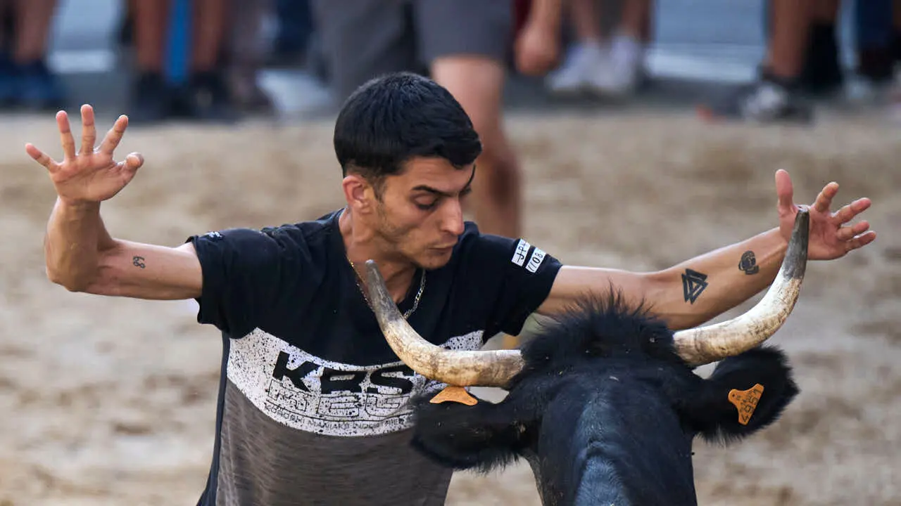 Tarde de vaquillas en fiestas de Bara&ntilde;ain 2026 con la ganader&iacute;a Bretos, amenizadas por Gaiteros de Bara&ntilde;&aacute;in. PABLO LASAOSA