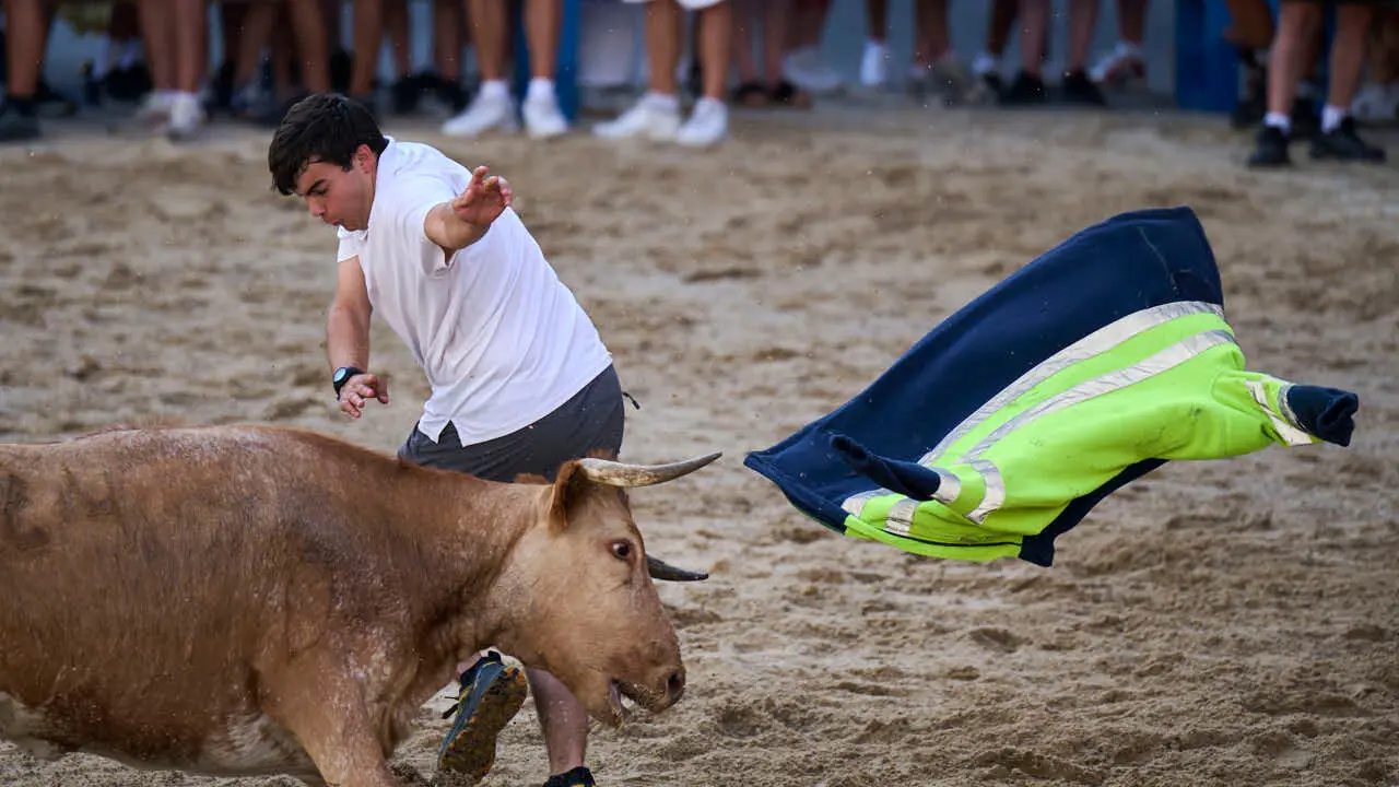 Tarde de vaquillas en fiestas de Bara&ntilde;ain 2026 con la ganader&iacute;a Bretos, amenizadas por Gaiteros de Bara&ntilde;&aacute;in. PABLO LASAOSA