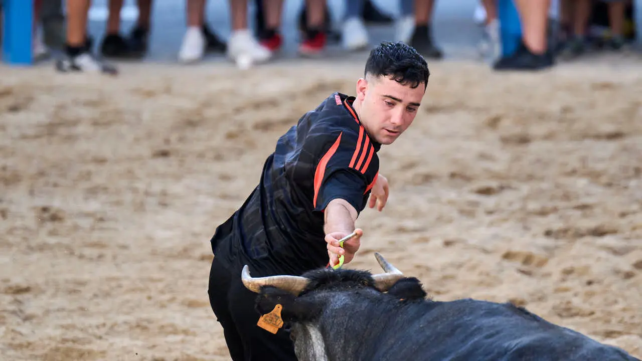 Tarde de vaquillas en fiestas de Bara&ntilde;ain 2026 con la ganader&iacute;a Bretos, amenizadas por Gaiteros de Bara&ntilde;&aacute;in. PABLO LASAOSA