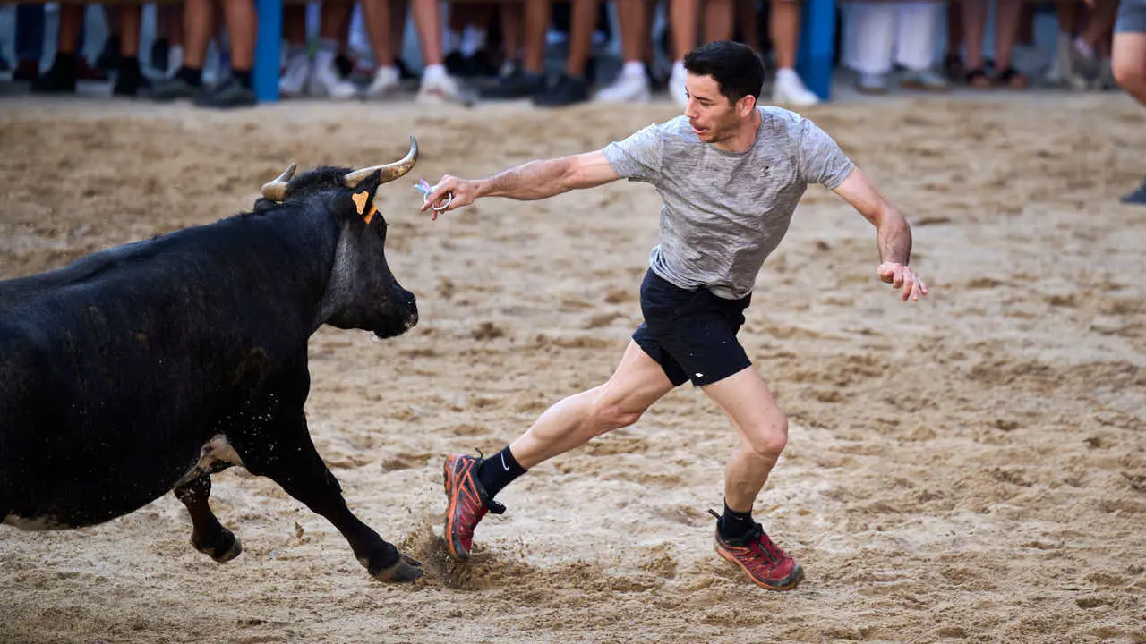 Tarde de vaquillas en fiestas de Bara&ntilde;ain 2026 con la ganader&iacute;a Bretos, amenizadas por Gaiteros de Bara&ntilde;&aacute;in. PABLO LASAOSA