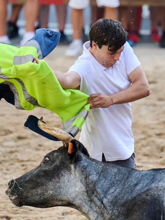Tarde de vaquillas en fiestas de Bara&ntilde;ain 2026 con la ganader&iacute;a Bretos, amenizadas por Gaiteros de Bara&ntilde;&aacute;in. PABLO LASAOSA