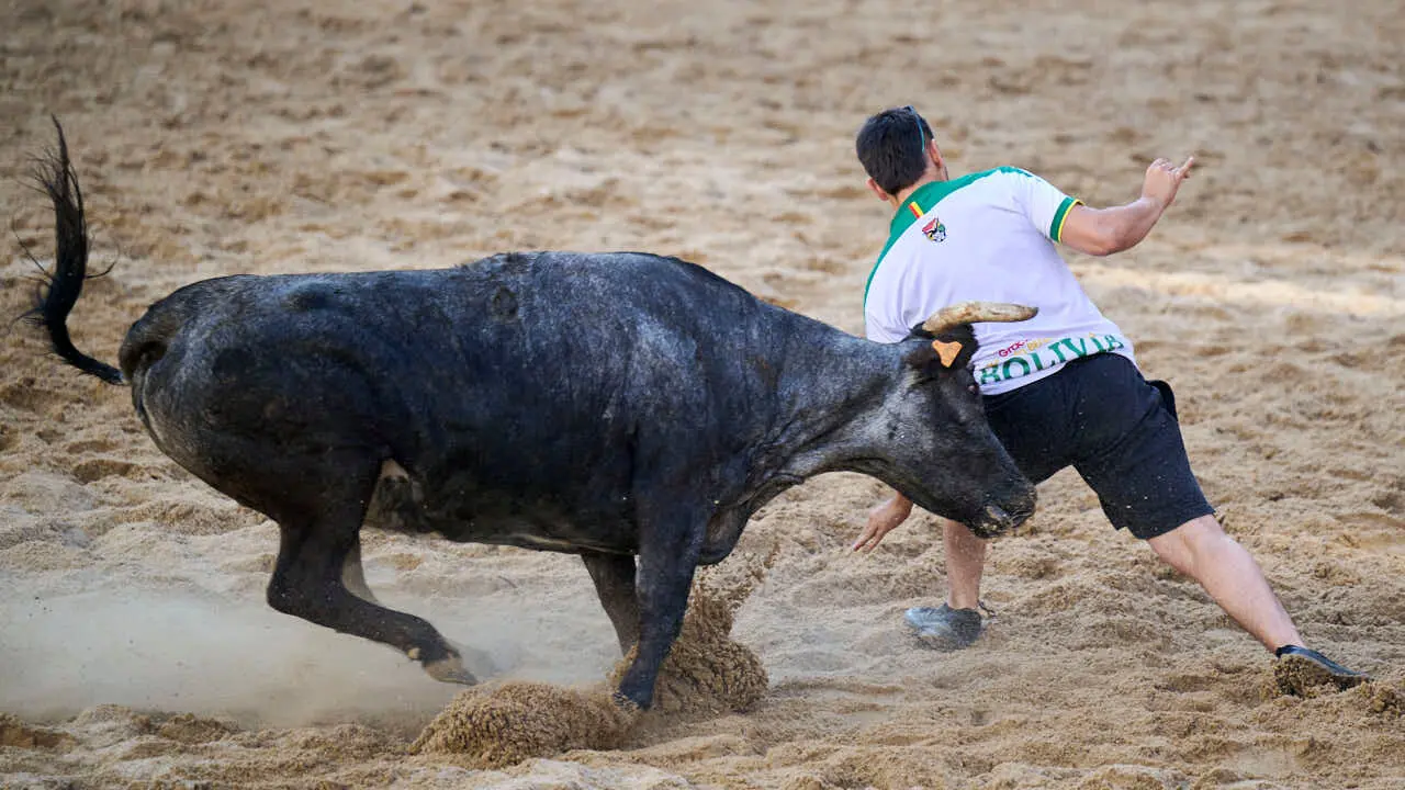 Tarde de vaquillas en fiestas de Bara&ntilde;ain 2026 con la ganader&iacute;a Bretos, amenizadas por Gaiteros de Bara&ntilde;&aacute;in. PABLO LASAOSA