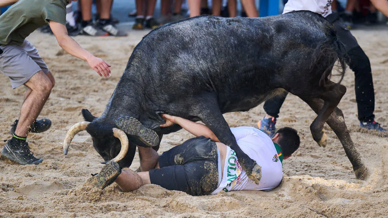 Tarde de vaquillas en fiestas de Bara&ntilde;ain 2026 con la ganader&iacute;a Bretos, amenizadas por Gaiteros de Bara&ntilde;&aacute;in. PABLO LASAOSA