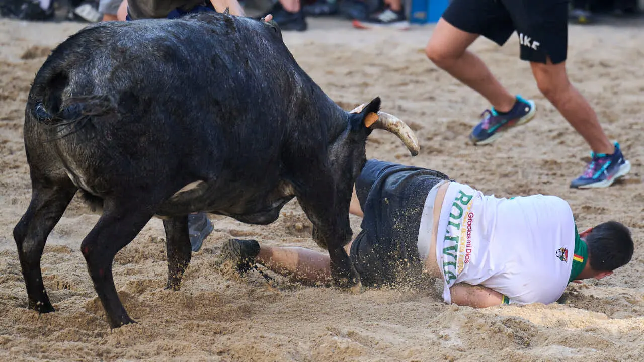 Tarde de vaquillas en fiestas de Bara&ntilde;ain 2026 con la ganader&iacute;a Bretos, amenizadas por Gaiteros de Bara&ntilde;&aacute;in. PABLO LASAOSA