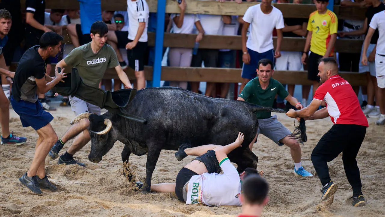 Tarde de vaquillas en fiestas de Bara&ntilde;ain 2026 con la ganader&iacute;a Bretos, amenizadas por Gaiteros de Bara&ntilde;&aacute;in. PABLO LASAOSA