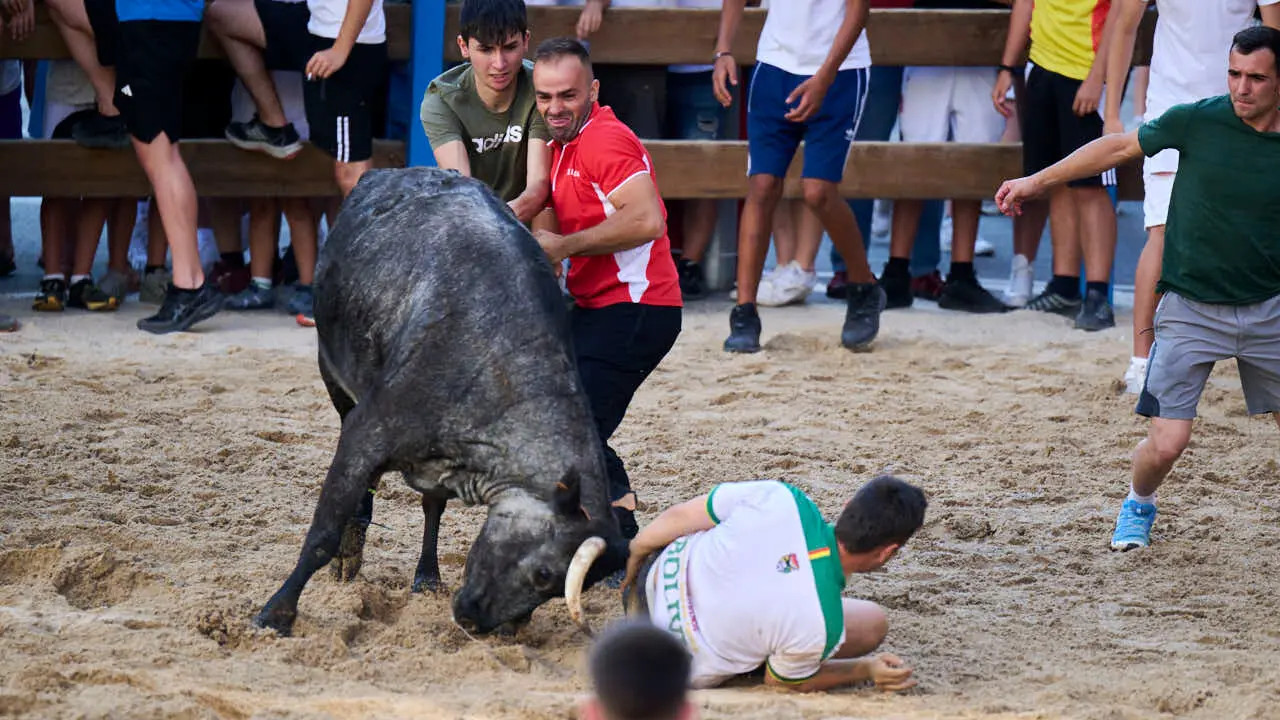 Tarde de vaquillas en fiestas de Bara&ntilde;ain 2026 con la ganader&iacute;a Bretos, amenizadas por Gaiteros de Bara&ntilde;&aacute;in. PABLO LASAOSA